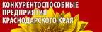 Баннер